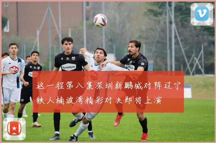 这一程第八集深圳新鹏城对阵辽宁铁人楠波湾精彩对决即将上演