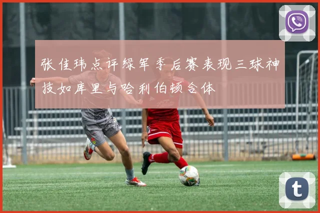 张佳玮点评绿军季后赛表现三球神技如库里与哈利伯顿合体