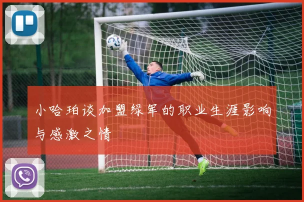 小哈珀谈加盟绿军的职业生涯影响与感激之情